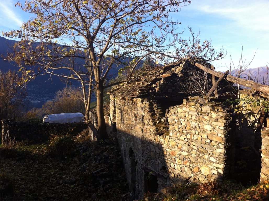 RUSTICI - WORK IN PROGRESS