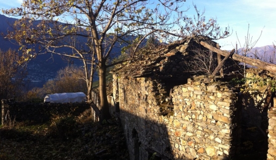 RUSTICI - WORK IN PROGRESS